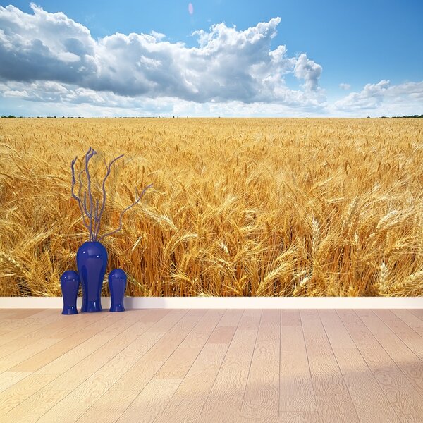 Carta da parati Campo di grano 104x70 cm