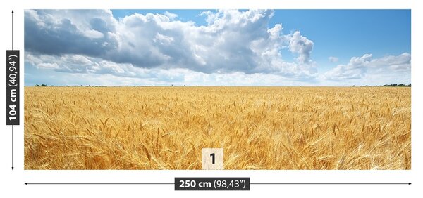 Carta da parati Campo di grano 104x70 cm