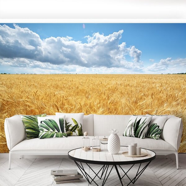 Carta da parati Campo di grano 104x70 cm