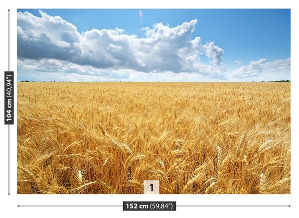 Carta da parati Campo di grano 104x70 cm