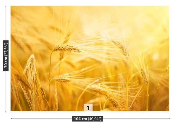 Carta da parati Campo di grano 104x70 cm