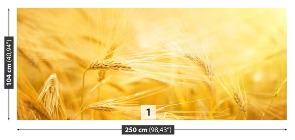 Carta da parati Campo di grano 104x70 cm