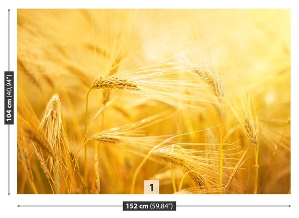 Carta da parati Campo di grano 104x70 cm