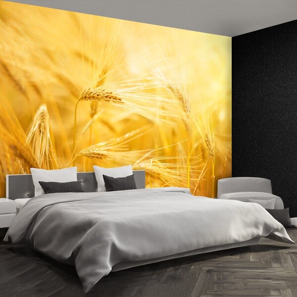 Carta da parati Campo di grano 104x70 cm