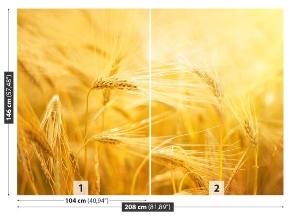 Carta da parati Campo di grano 104x70 cm
