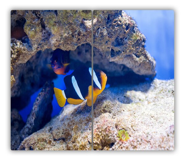 Tagliere in vetro Pesce tropicale 60x52 cm