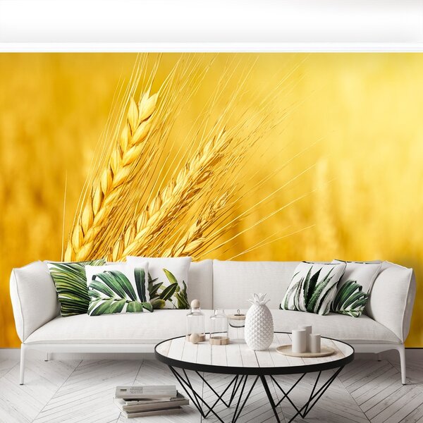 Carta da parati Orecchie di grano 104x70 cm