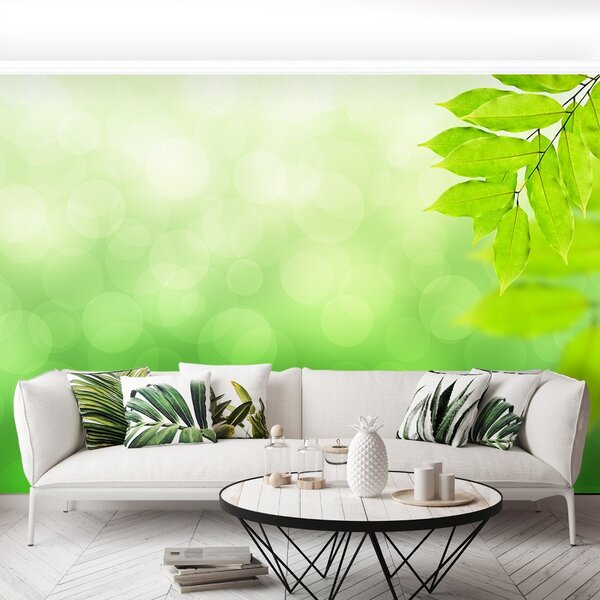 Carta da parati Ramo verde 104x70 cm