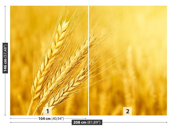 Carta da parati Orecchie di grano 104x70 cm