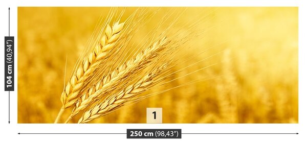 Carta da parati Orecchie di grano 104x70 cm