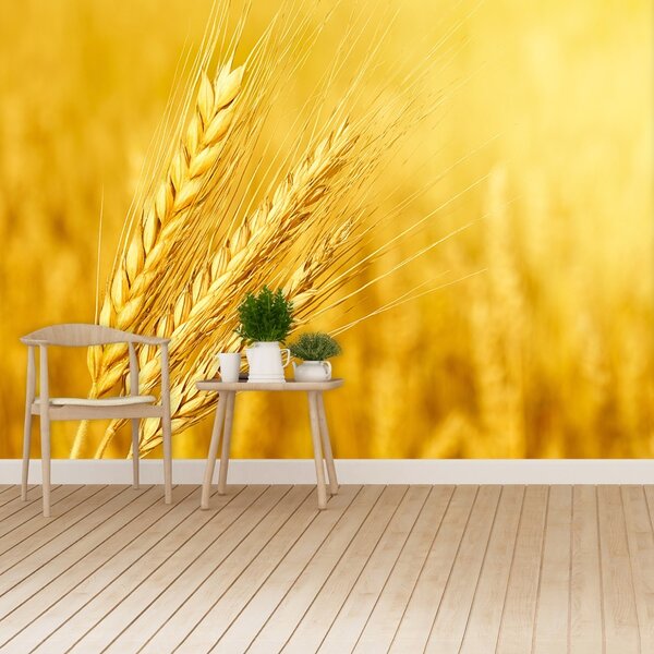 Carta da parati Orecchie di grano 104x70 cm