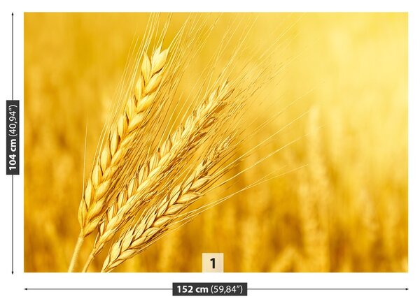 Carta da parati Orecchie di grano 104x70 cm