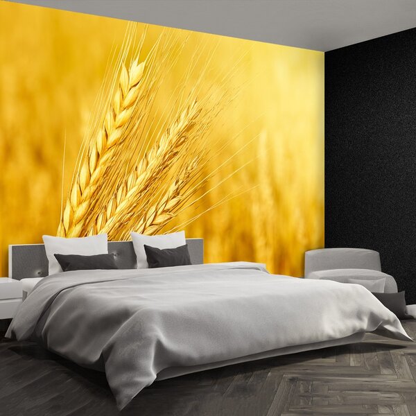 Carta da parati Orecchie di grano 104x70 cm