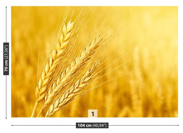 Carta da parati Orecchie di grano 104x70 cm