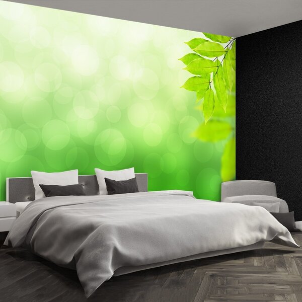 Carta da parati Ramo verde 104x70 cm
