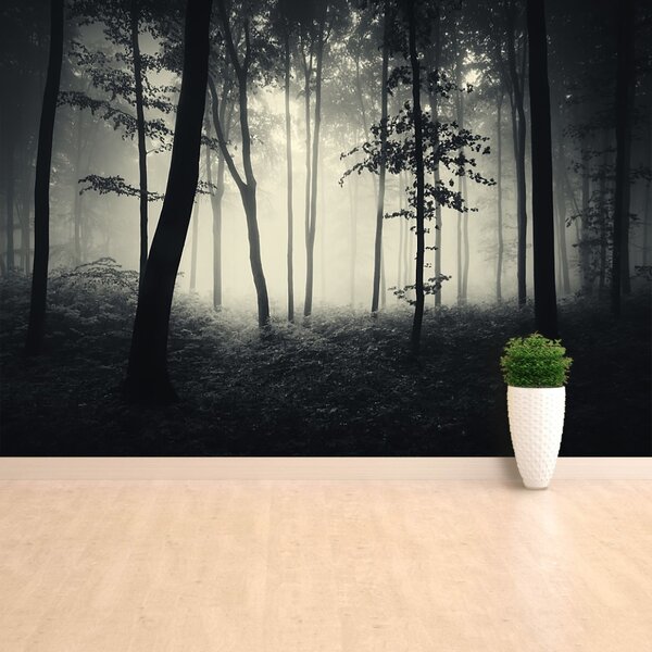 Carta da parati Foresta nebbiosa 104x70 cm