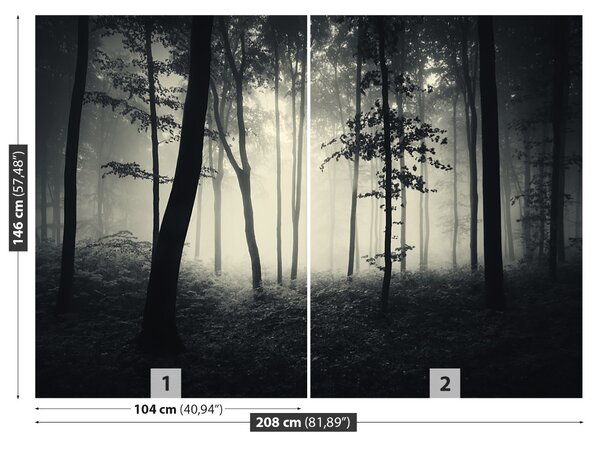 Carta da parati Foresta nebbiosa 104x70 cm