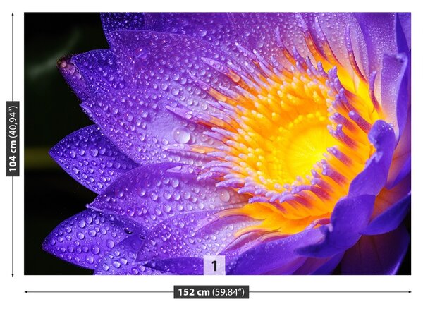 Carta da parati Loto viola 104x70 cm