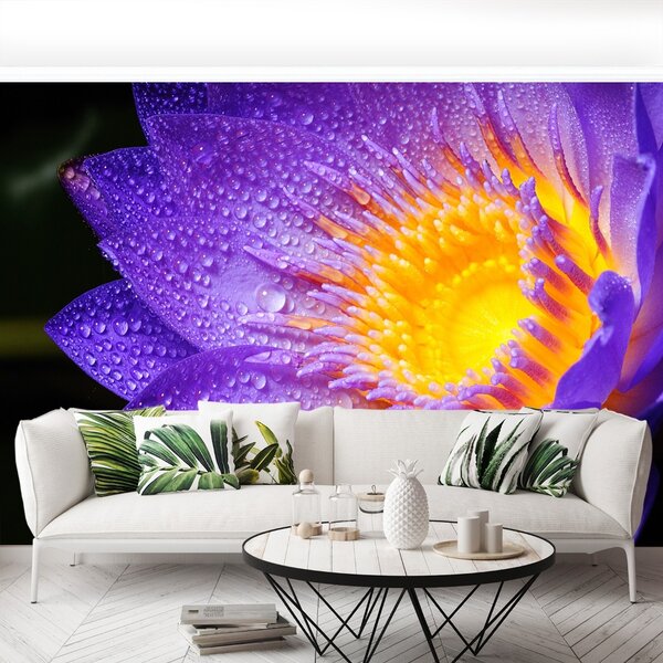 Carta da parati Loto viola 104x70 cm
