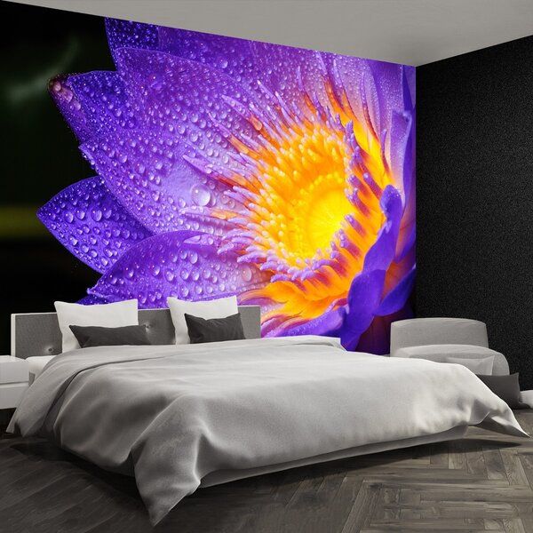 Carta da parati Loto viola 104x70 cm