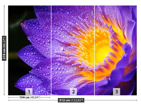 Carta da parati Loto viola 104x70 cm