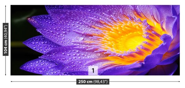 Carta da parati Loto viola 104x70 cm
