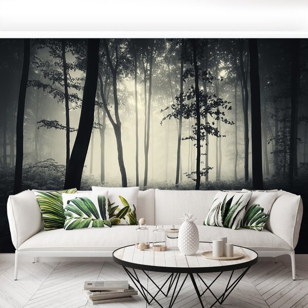 Carta da parati Foresta nebbiosa 104x70 cm