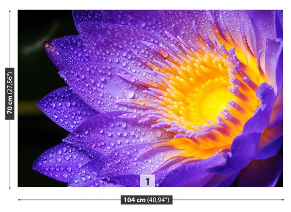Carta da parati Loto viola 104x70 cm
