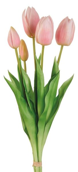 Tulipani rosa