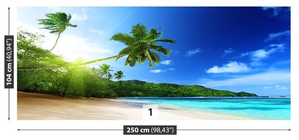 Carta da parati Spiaggia a Seychelles 104x70 cm