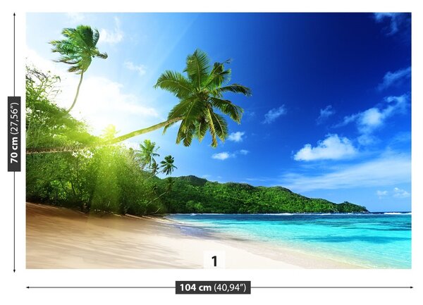 Carta da parati Spiaggia a Seychelles 104x70 cm