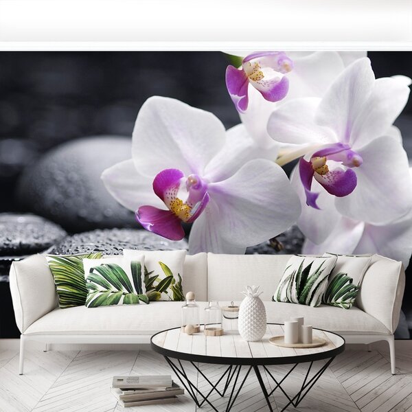 Carta da parati Orchidea 104x70 cm
