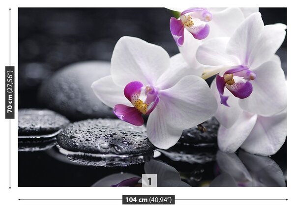 Carta da parati Orchidea 104x70 cm