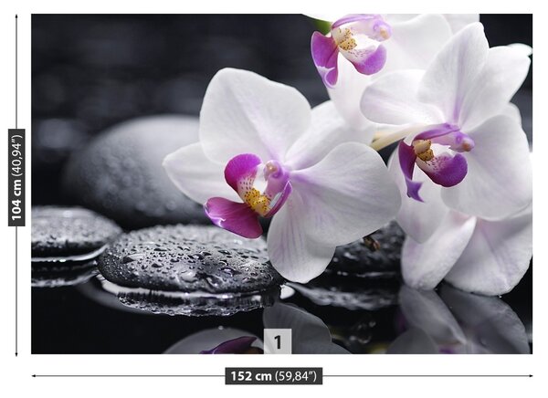 Carta da parati Orchidea 104x70 cm