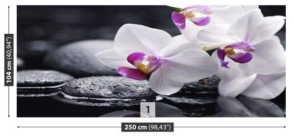 Carta da parati Orchidea 104x70 cm