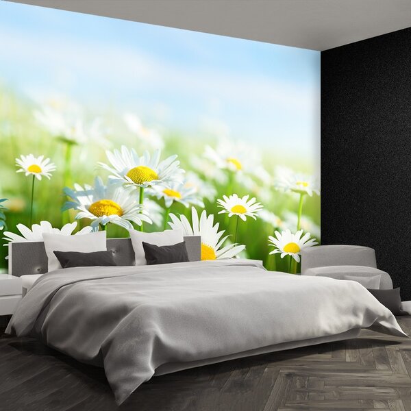 Carta da parati Green Daisy 104x70 cm