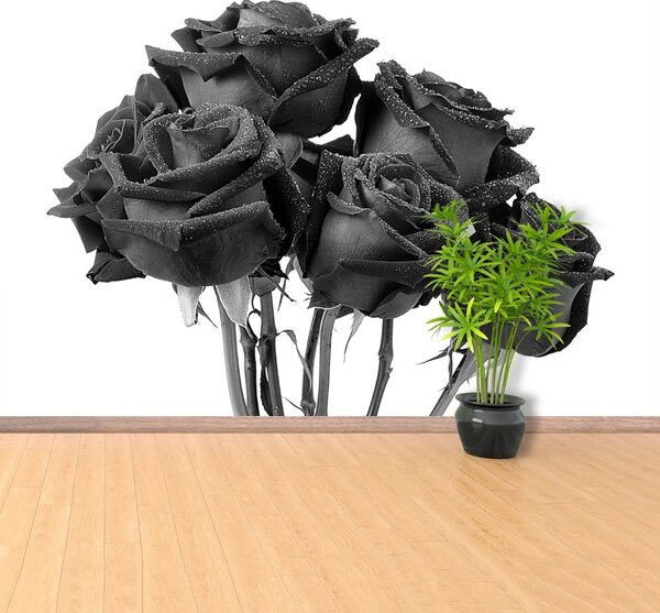 Carta da parati Rose nere 104x70 cm