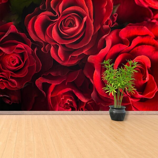 Carta da parati Rose rosse 104x70 cm