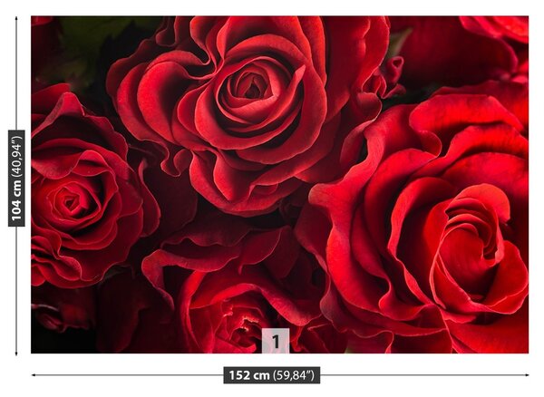 Carta da parati Rose rosse 104x70 cm