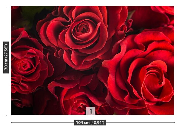 Carta da parati Rose rosse 104x70 cm