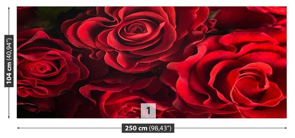 Carta da parati Rose rosse 104x70 cm