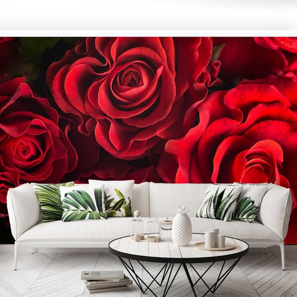 Carta da parati Rose rosse 104x70 cm
