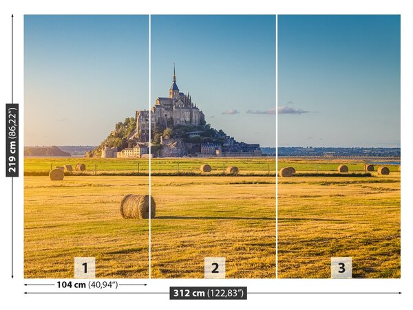 Carta da parati Le Mont Saintmichel 104x70 cm