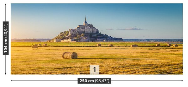 Carta da parati Le Mont Saintmichel 104x70 cm
