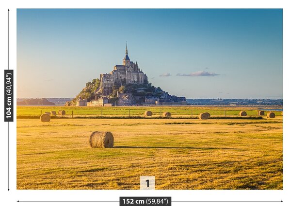 Carta da parati Le Mont Saintmichel 104x70 cm