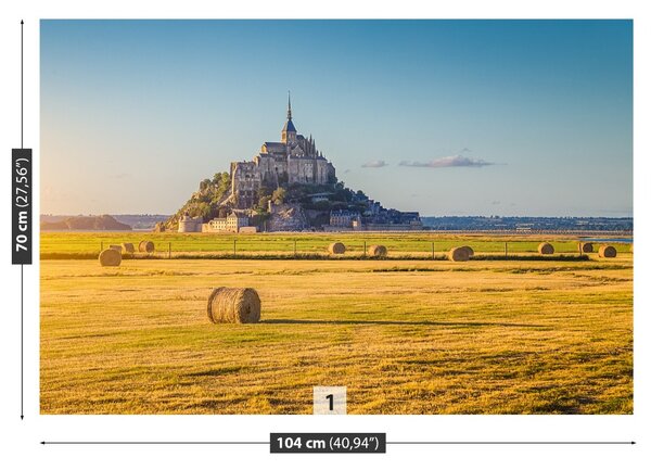 Carta da parati Le Mont Saintmichel 104x70 cm