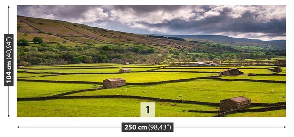 Carta da parati Yorkshire Field 104x70 cm