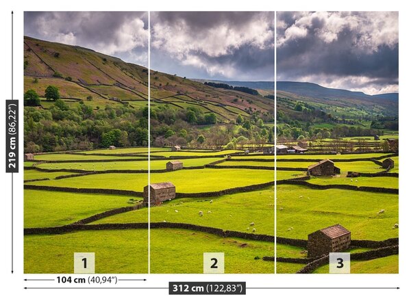 Carta da parati Yorkshire Field 104x70 cm