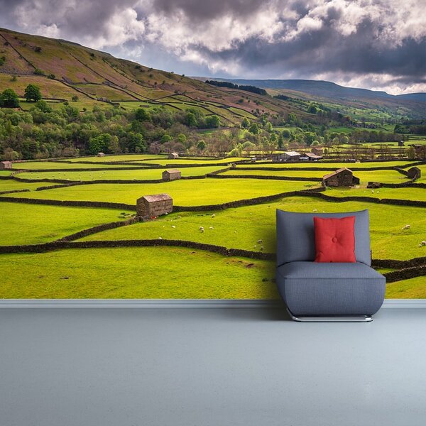 Carta da parati Yorkshire Field 104x70 cm