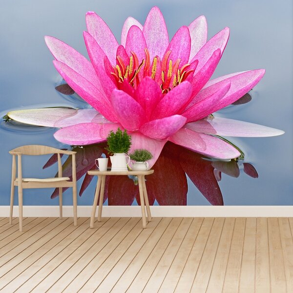 Carta da parati Lily di acqua rosa 104x70 cm